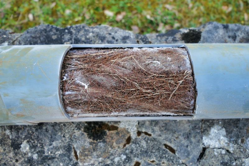 Crawlspace Drainage in Tuscaloosa, AL