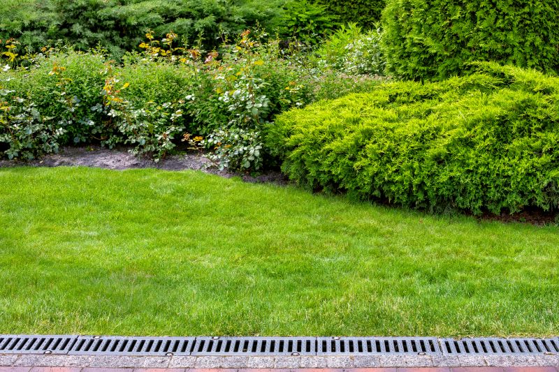 Landscaping Drainage Installation in Birmingham, AL