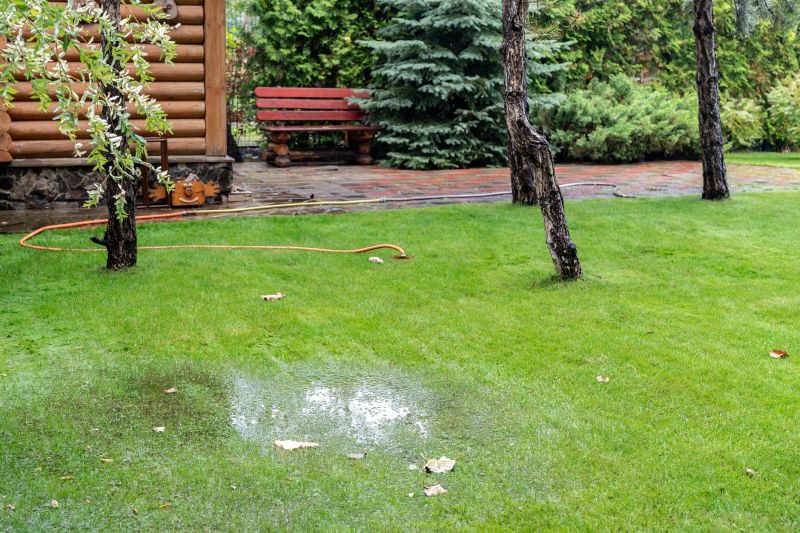 Lawn Drainage in Birmingham, AL