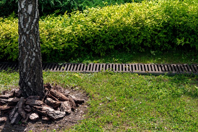 Lawn Drainage in Tuscaloosa, AL