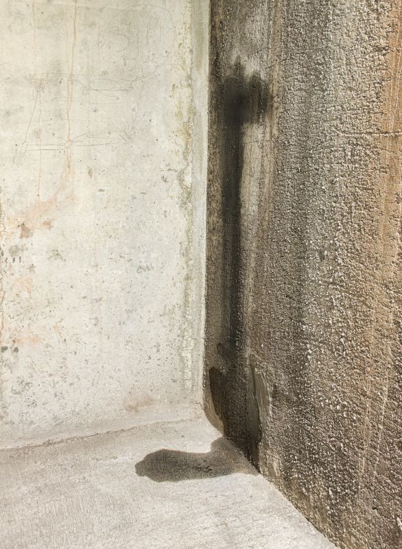 Leaking Basement Repair in Montgomery, AL