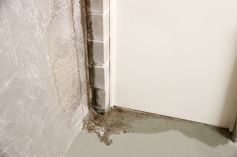 Leaking Basement Repair in Tuscaloosa, AL