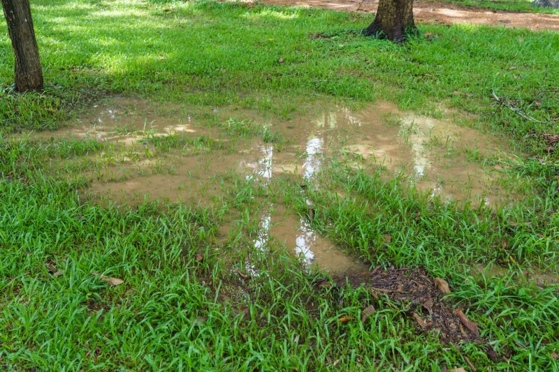Muddy Yard Drainage in Tuscaloosa, AL