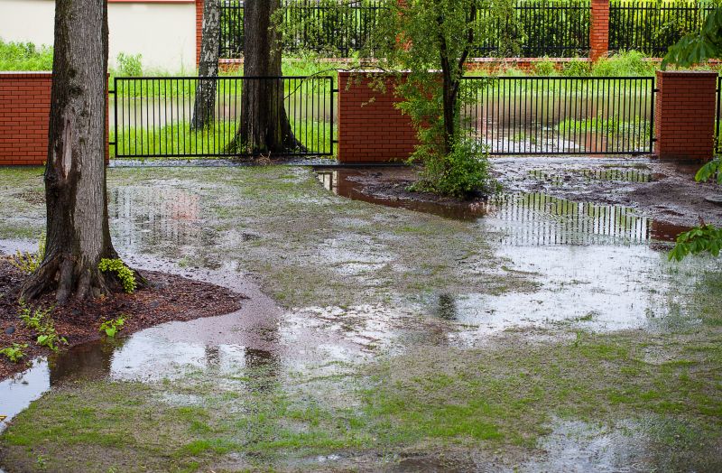 Muddy Yard Drainage in Tuscaloosa, AL