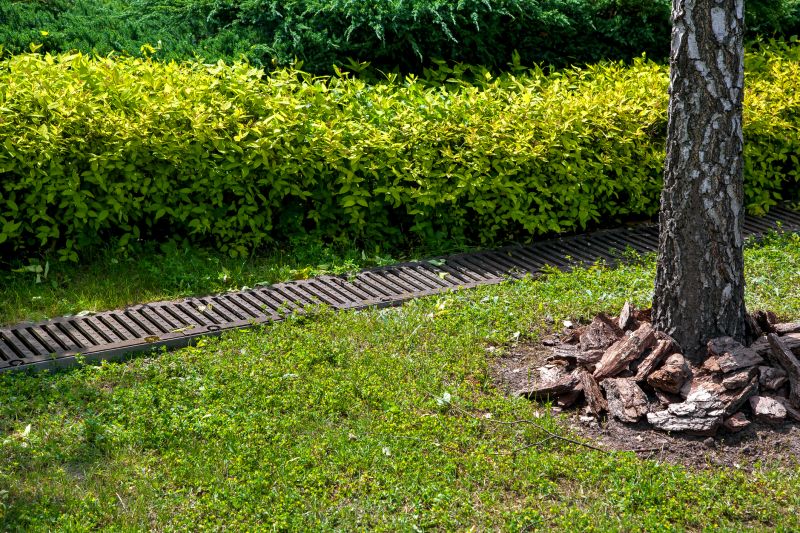 Residential Landscape Drainage in Tuscaloosa, AL
