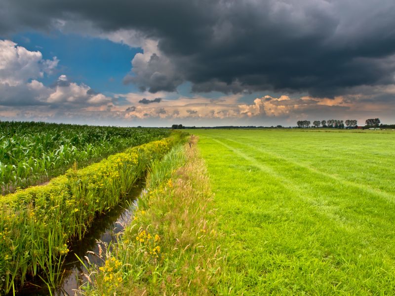 The Difference Professional Drainage Makes