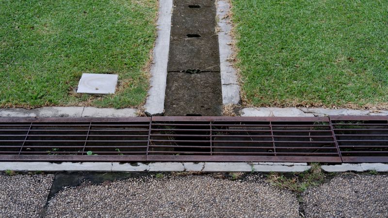 Wet Yard Drainage in Birmingham, AL
